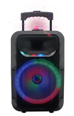 Xinvo 2022 wholesale New style ready to ship factory price portable wireless  karaoke speaker