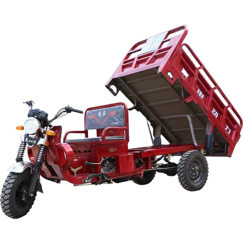 1000W Motorized Electric Tricycle 3-Wheel Cargo Bike with Automatic Lifting Hydraulic Rod Back Box for Passenger Use