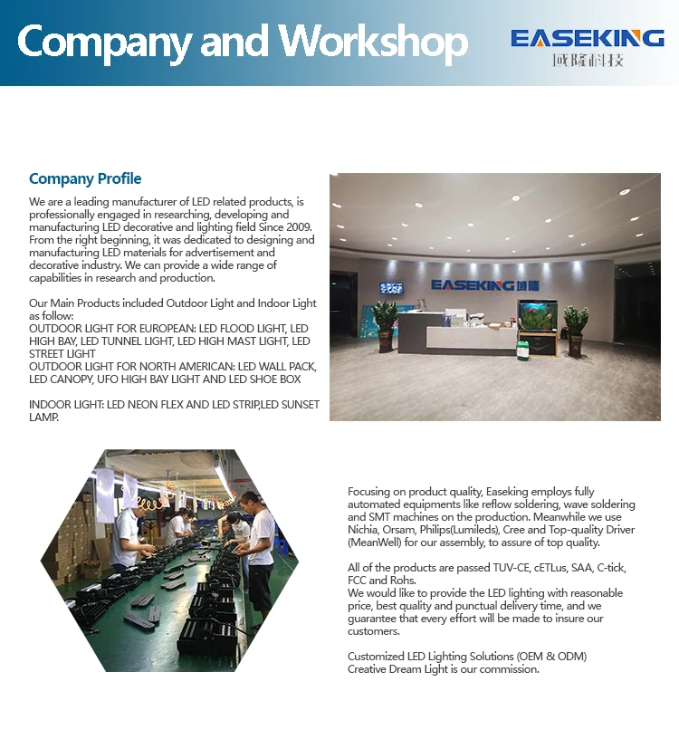 LED Tunnel Light  (9)