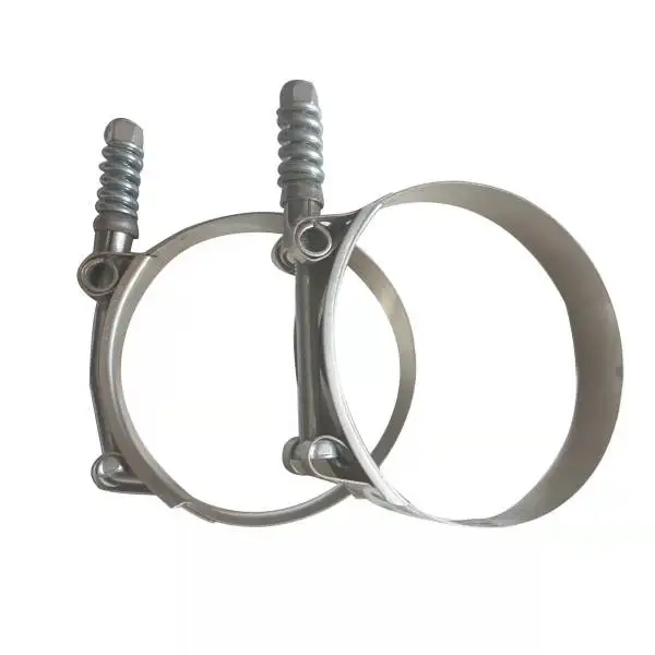 HDTXTH55-101MM 201Auto Parts T Bolt with Spring Torque Compensating Clamp for Pipeline Connection19mm width*0.6mm thick