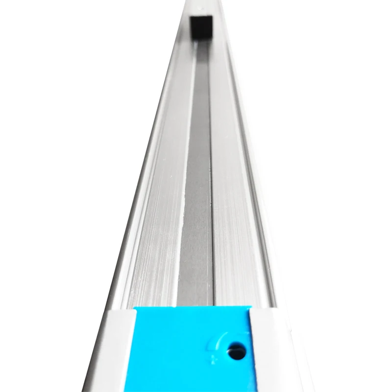 FESTOS rodless cylinder DGP-18-300-400-500-600-700-PPV-A-B