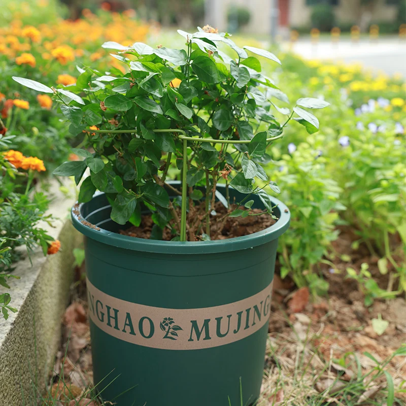 Durable Garden Single Stem Support Ring Cage Garden Plant Support Ring