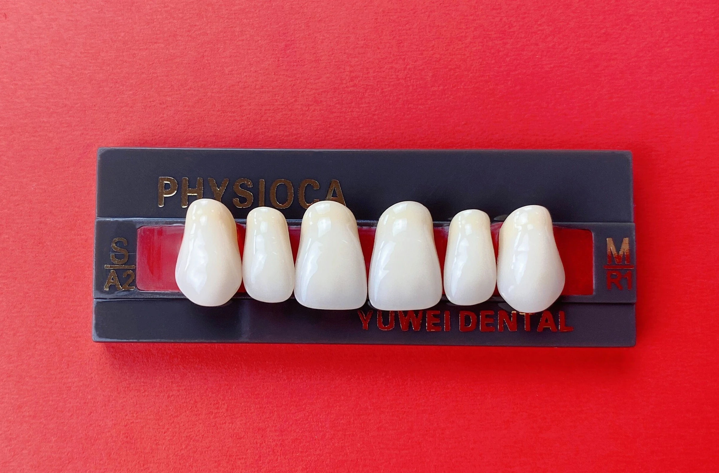 Cheaper Price Dental Synthetic Teeth for Dental Lab
