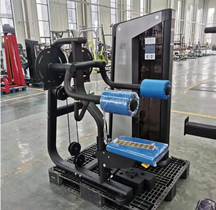 Hot-sale Matrix Lateral Raise Machine Commercial Fitness Gym Equipment Sports Workout Equipment