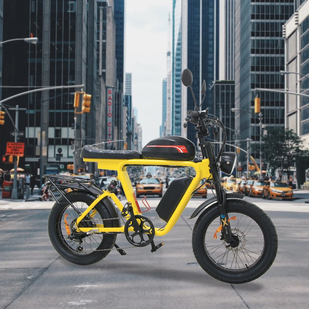 1000W Fat Tire Ebike 48V Electric Bike Dual Motor 7Speed Lithium Battery Electric Bicycle 20 Steel Frame Electric Mountain Bike