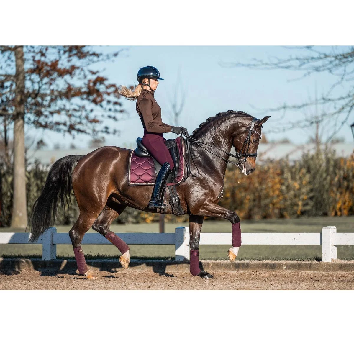 Hot Sell In Europe Women Equestrian Pants Silicone Horse Riding Tights Leggings Breeches