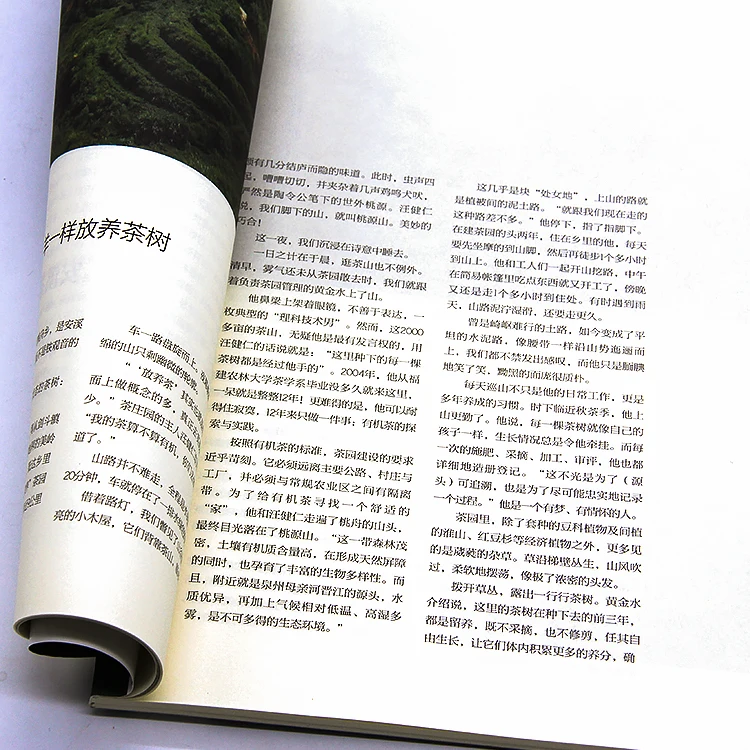 For Food Souvenir Self Publish Book Cookbook Photobook Design Printing Books Soft Cover