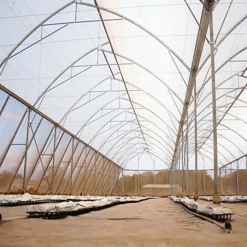 Agricultural Sawtooth Greenhouse with vertical hydroponic
