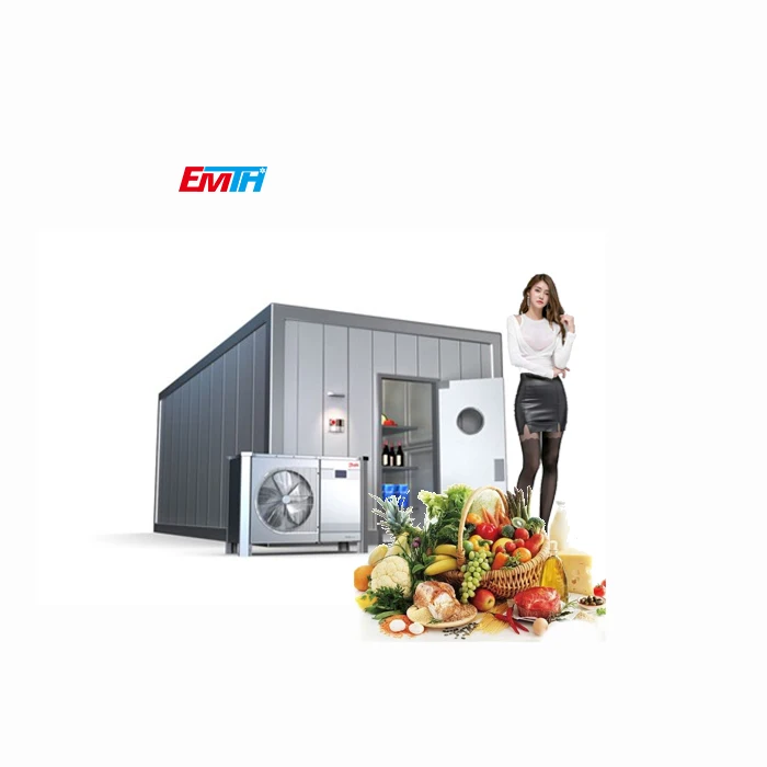 CHINA EMTH Supplier Cold Room refrigerator fan motor in storage food