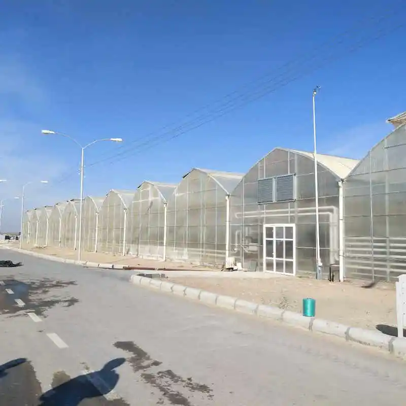 2024 pc sheet greenhouse for agriculture growing mushroom made in China