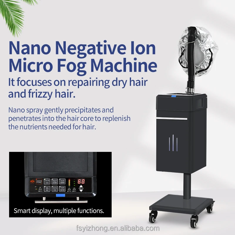 Top Manufacturer Professional Cap Bonnet Ionic Micro Mist Micromist Hair Salon Steamer Machine with Care Hari SPA Care Treatment