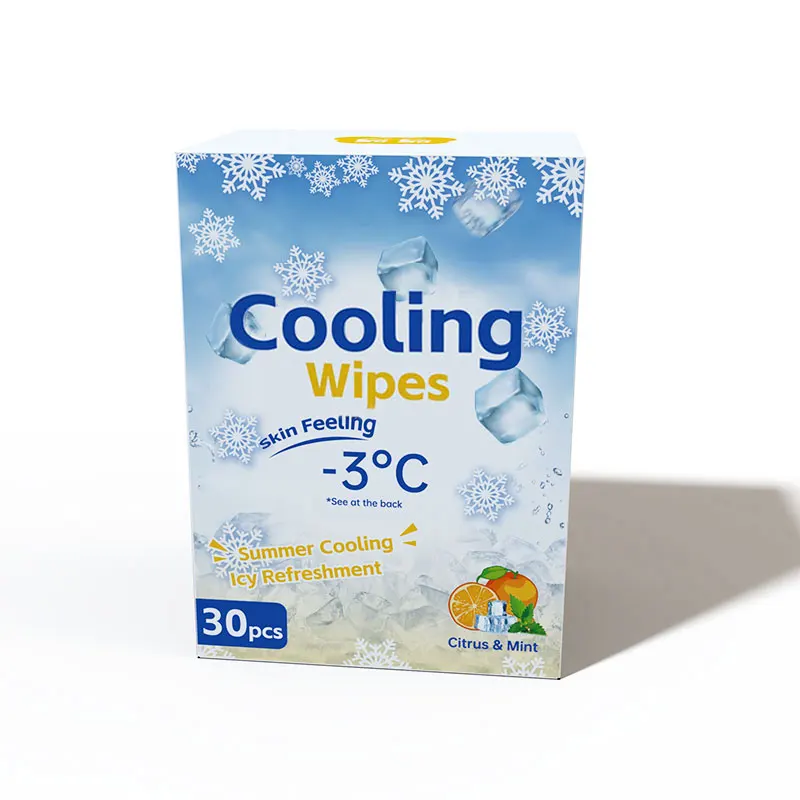 OEM ODM Adult Body Cleaning Wet Wipes Skin Care Wipes Ice Cool Wipes