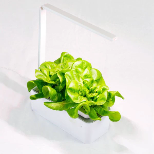 indoor garden smart garden organic hydroponic growing systems mini smart home garden with LED growing light and timer function