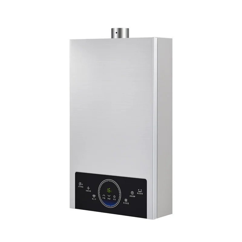2022 high quality portable lpg delicate appearance gas water heater boiler camping gas water heater