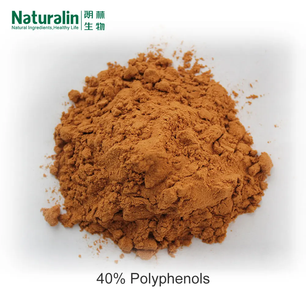 Экстракт натурального камелии sinensis по конкурентоспособной цене (л.) Kuntze 98% polyphenols-70 %-50% EGCG UV HPLC обнаруженный экстракт зеленого чая