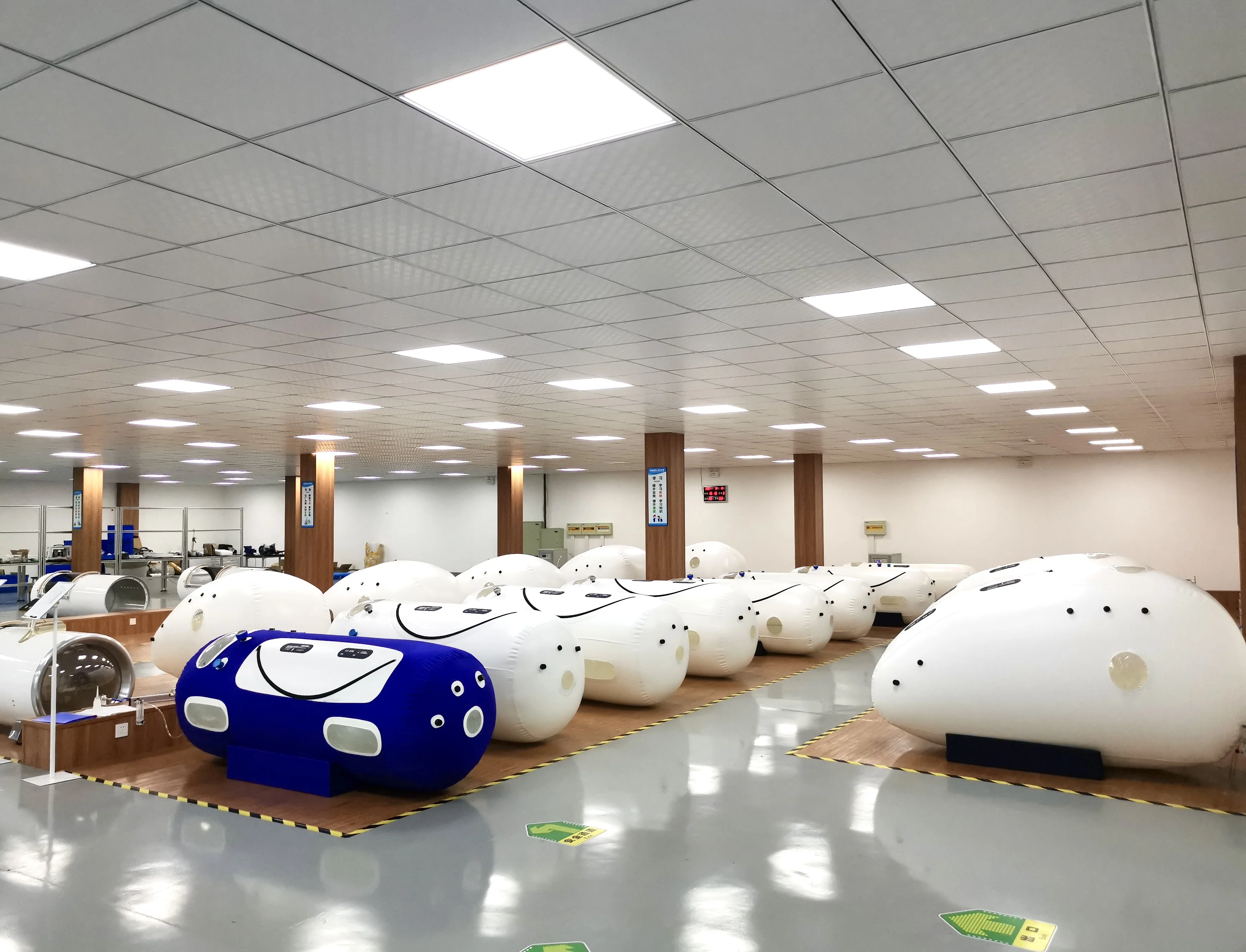 Прямая продажа от производителя, товары для реабилитационной терапии, Гипербарическая Кислородная камера