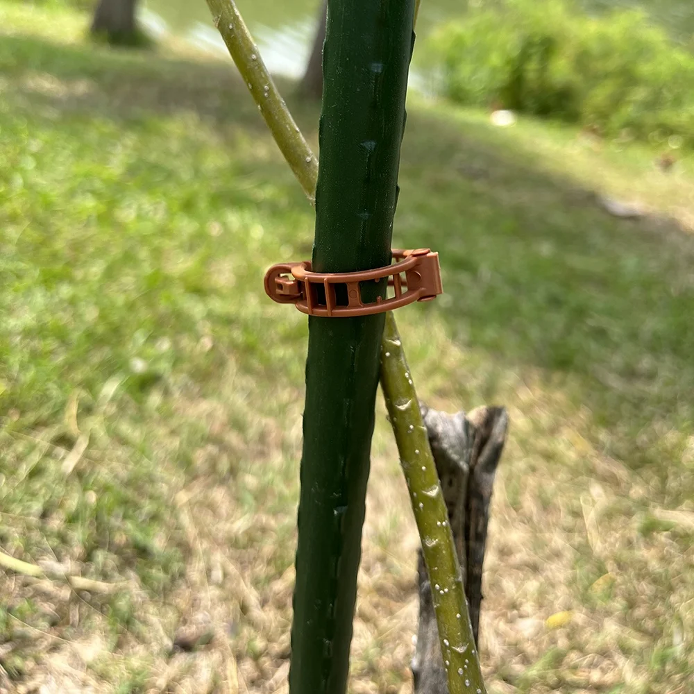 100 pack small size spring plant staking loop gripper vine clips for wholesale