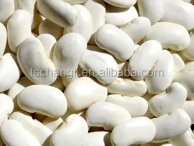 on sale egyptian white kidney beans good quality low-fat kidney beans