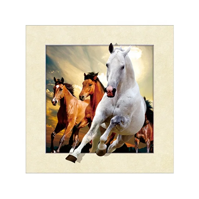 
5d horses picture 