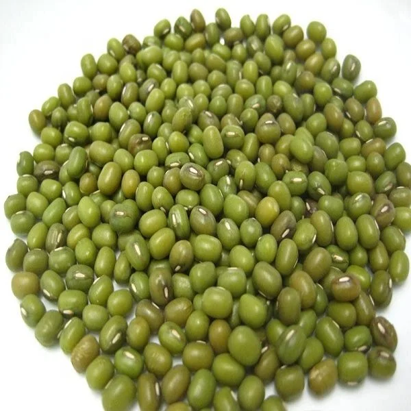 Green mung beans2