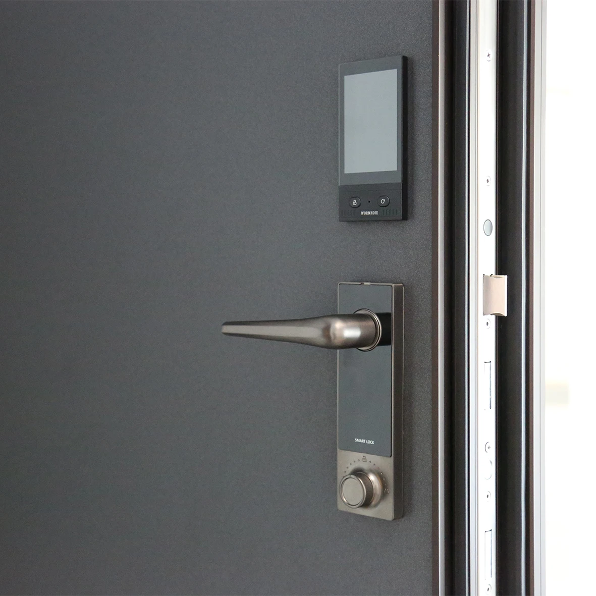 Wholesale Professional Manufacturer Main Security Luxury Aluminium Entrance Door
