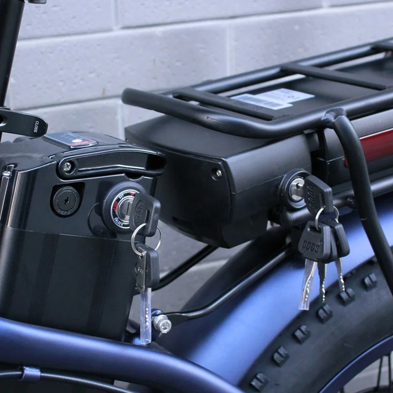 130Km Long Distance Riding 25Ah Dual Lithium Battery Ebike 20Inch 48 500W 750W 1000W Adult Folding Fat Tire Electric Bicycle