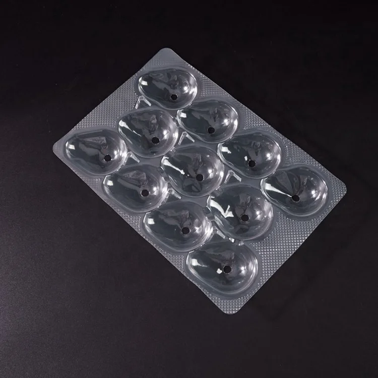 RPET Disposable Plastic Fruit Punnet Blueberries Strawberries Packaging Clamshell Transparent Fruit Packaging Box