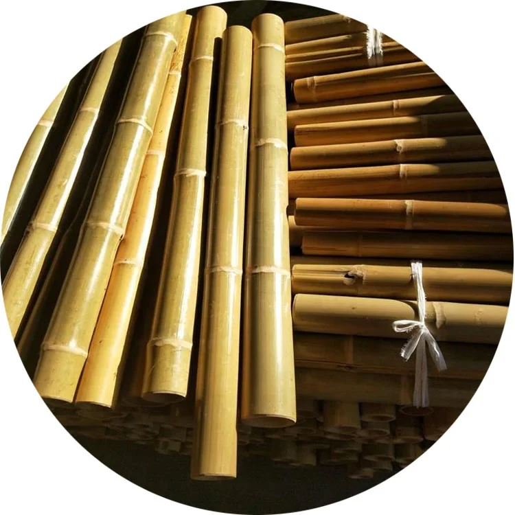 
Natural Moso Bamboo Poles for Construction, Moso Bamboo, Big Bamboo Poles 