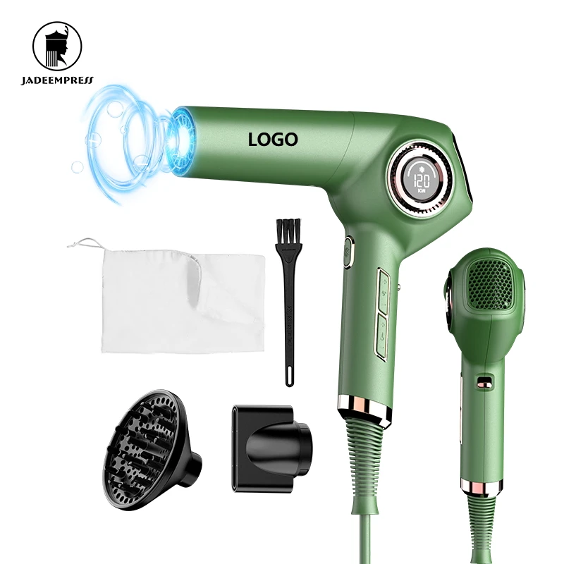 LCD Display Manufacturer Hair Dryers Negative Ion BLDC  Blow Dryer with Auto Self-cleaning Function