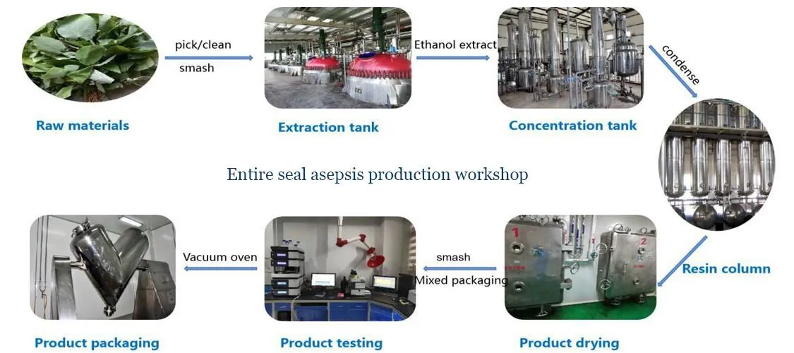 100 Pure Natural Epimedium Extract Icariin 40% Halal Epimedium Leaf Extract Epimedium Extract