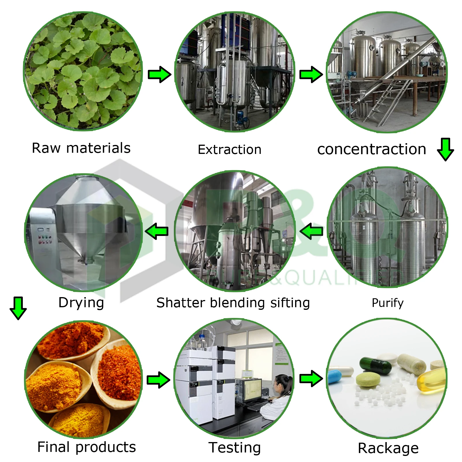 Wuhan PNQ Oroxylin A Bulk supply Oroxylin A powder cas 480-11-5 White powder Wood Butterfly Extract