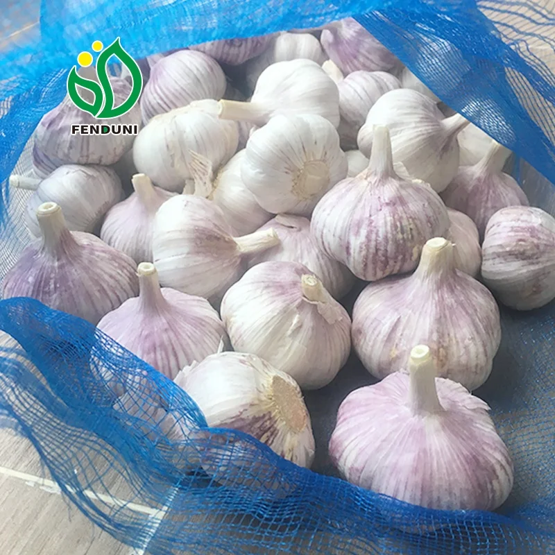  Импортный китайский чеснок 3p / 4p 5p 6p 10 кг сетчатый пакет новый урожай