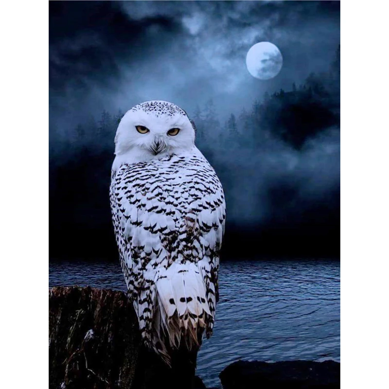 
High-quality wholesale Full Drill Diamond Painting 5d Painting Diamond Kits 