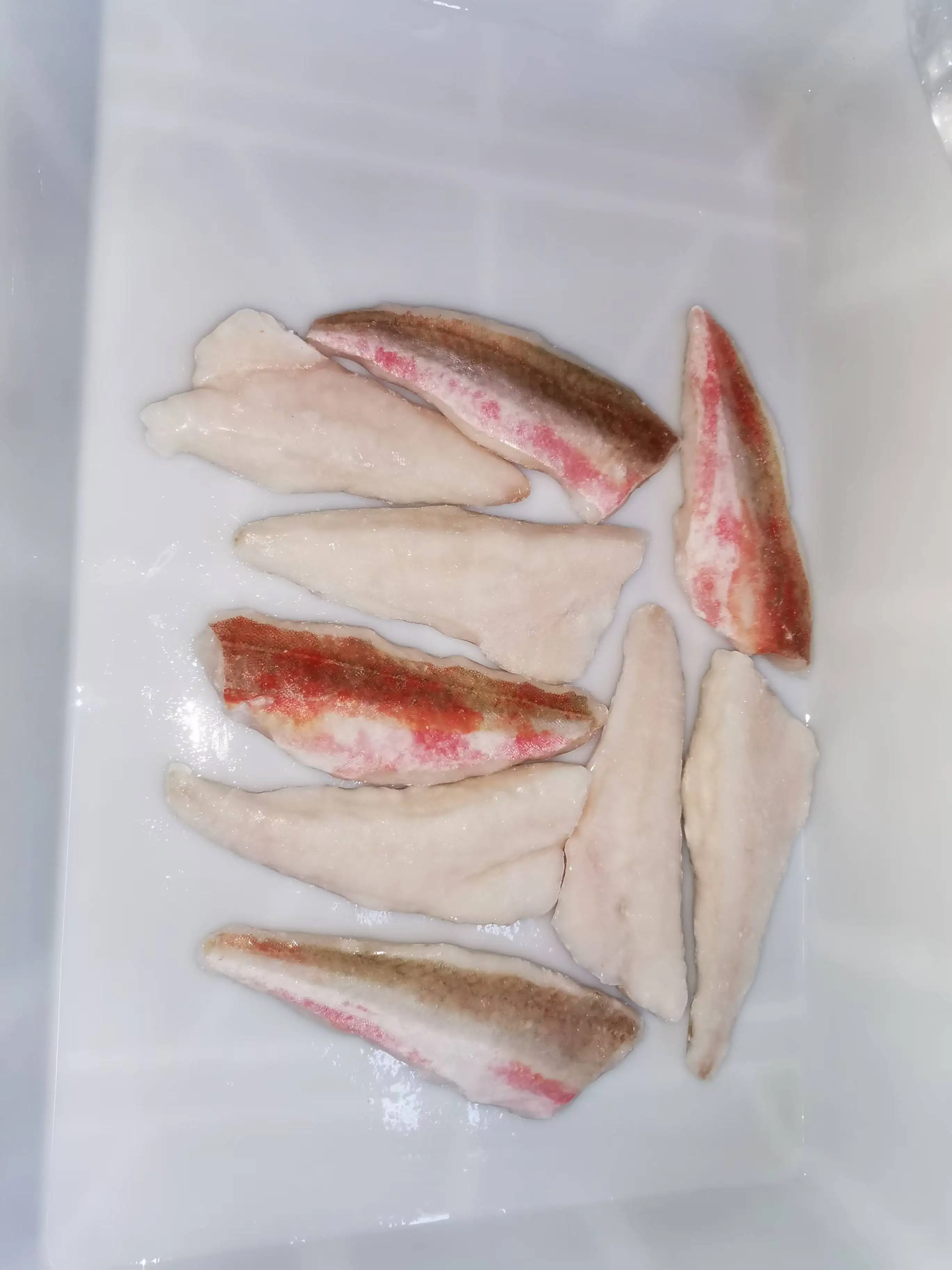 Red Gurnard Fillet Frozen Whole Tilapia Fish Bulk Packaging Nature Pattern Piece Style