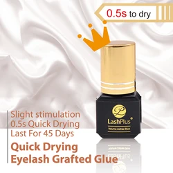 LashPlus top quality 0.5 seconds quick dry time Japan eyelash glue 7 weeks safety sensitive lash adhesive