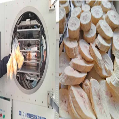 Industrial vacuum freeze dryer for jujube, kiwi, pineapple