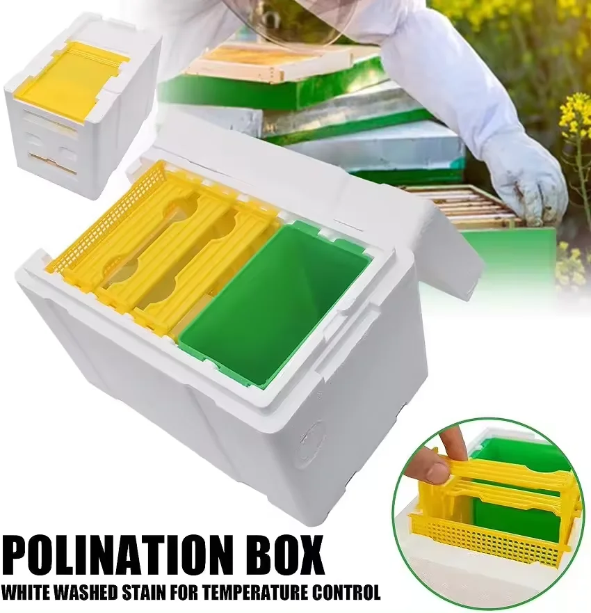 Wholesale beekeeping equipment upgrade polystyrene queen mating nucs hive foam queen bee nuc box colmenas de abejas