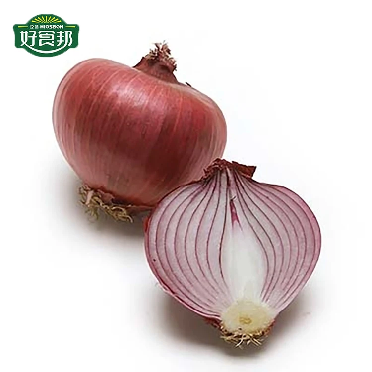 Hot Sale Fresh Red Small Onion Export from CN;GAN Mesh Bag 100% Maturity Gansu Province 20 Kg Round 2019 8 Cm 6-8 89% FCL Top