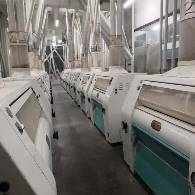 100 tons per day production capacity new condition flour mill plant