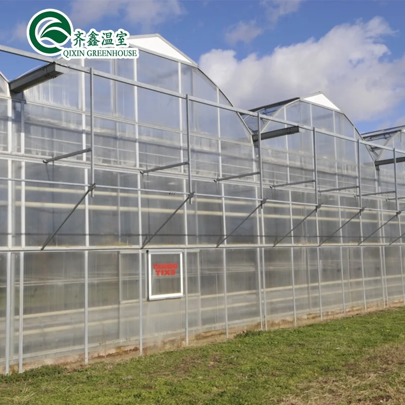 
venlo multispan greenhouse with hydroponic system 