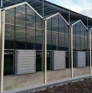 32 inch poultry farm ventilation equipment wall mounted industrial exhaust fan