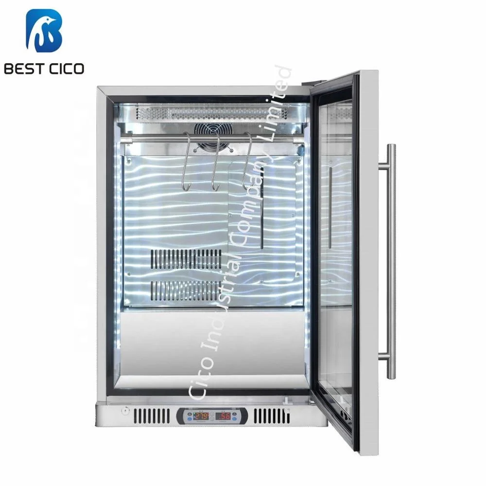 Trade Assurance Homeuse Mini Size Meat Drying Aged Display Refrigerator DA-138B