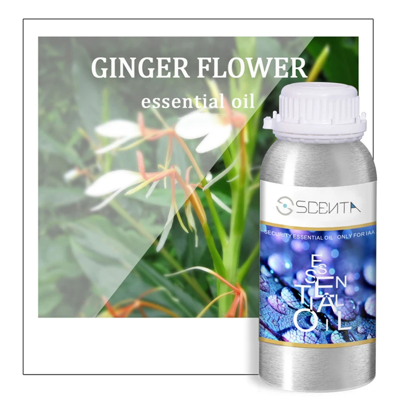 SCENTA Hotel Scent OEM Aroma Oil Ginger Flower 100% Natural Fragrance Perfume Oil