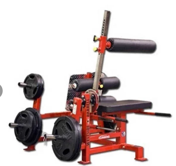 Home Gym 3-in-1 Hip Warping Device Exercise Fitness Sit Up Leg Curl and Extension Sissy Squat Rack Machine