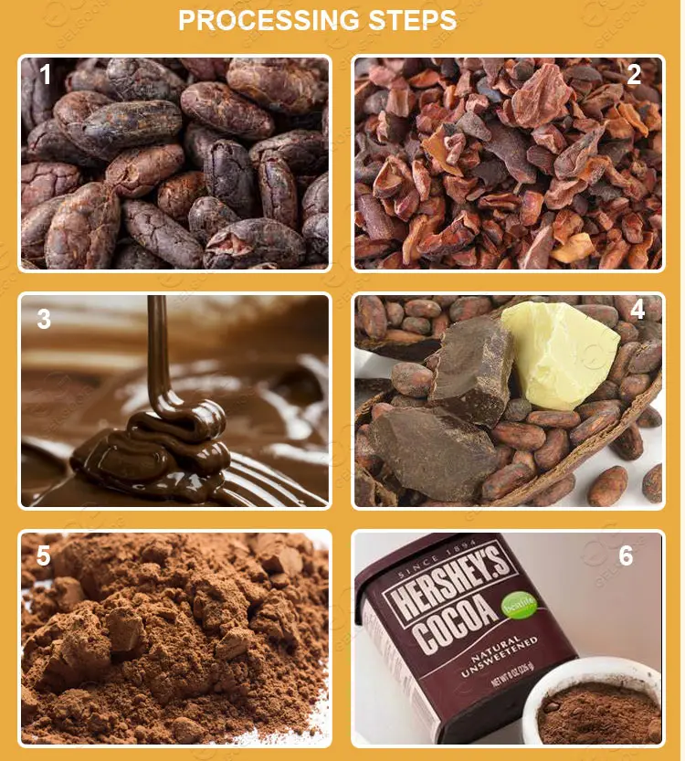 Indonesia 25Kg Small Scale Cacao Bean Powder Machinery Line Equipment Plant Cocoa Processing Machines for Cacao