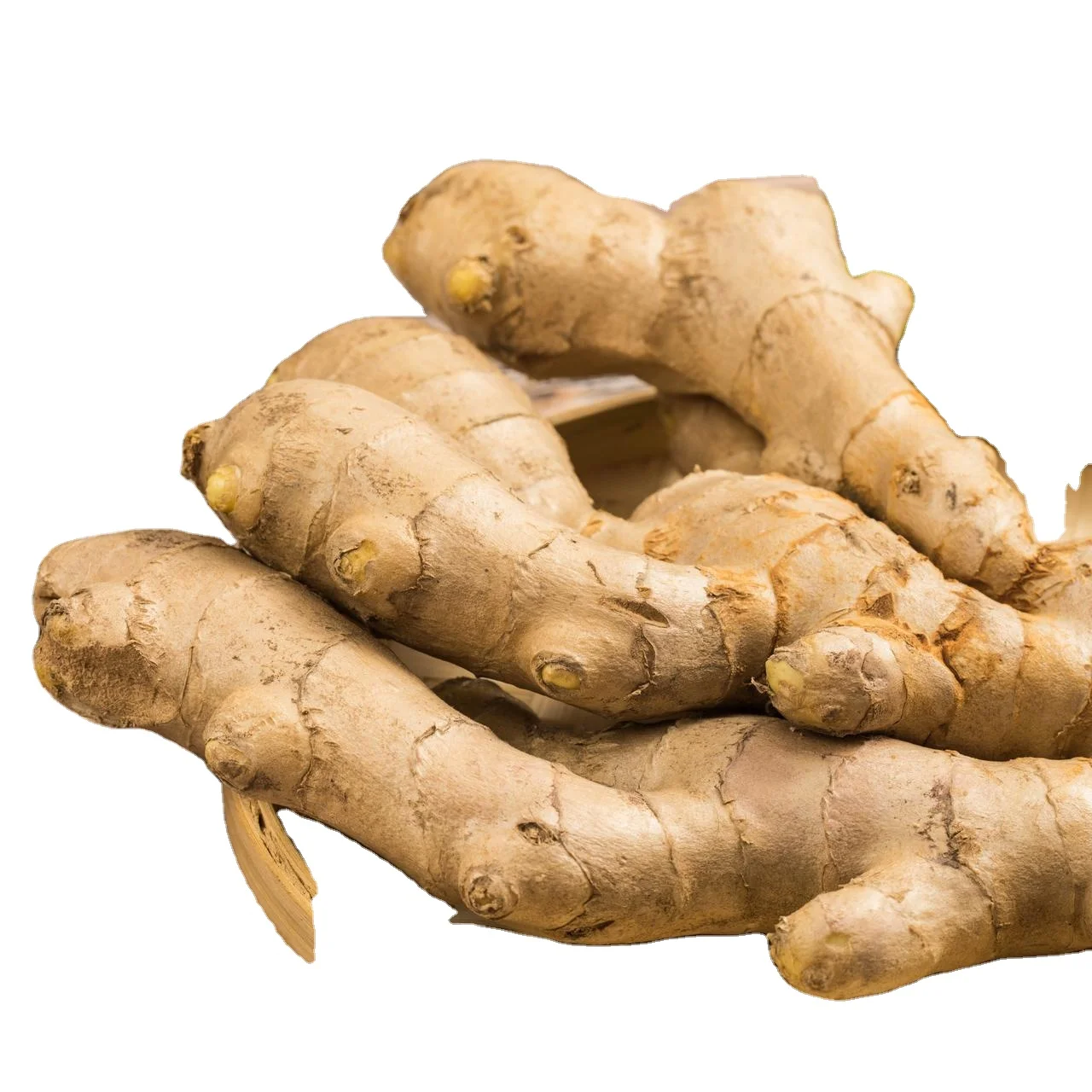 2023 Wholesale price of origin ginger