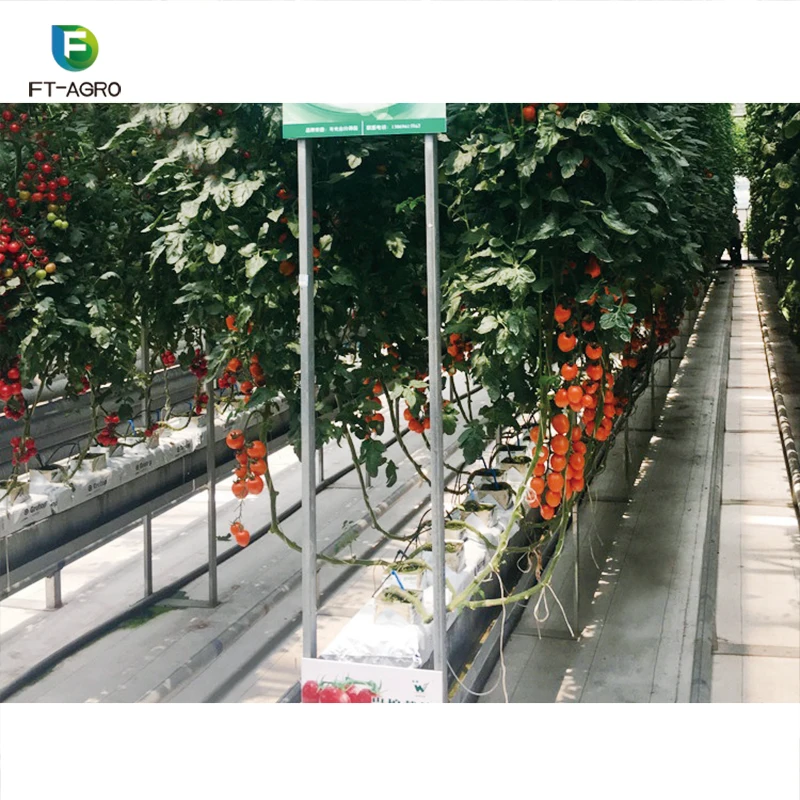 High Efficient Plant Indoor Hydroponic Grow Greenhouse