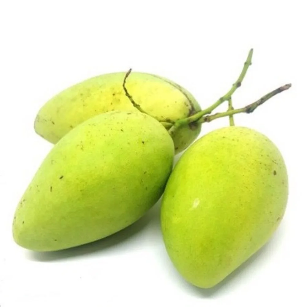Mango Fresh Fruit Type Fresh Keo Mango Green Mango Loc Tai Brand Name Trading In Bulk