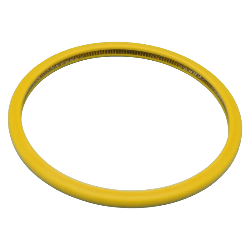 PTFE/F4 Spring Energized Seal  PTFE Piston Seal