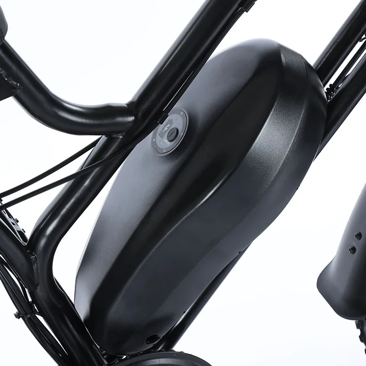 High Carbon Steel Electric Bike with 7-Speed 48v 10Ah Tube Lithium Battery 500w Rear Hub Motor Disc Brake Derailleur